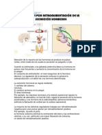 Control de La Secrecion Hormonal