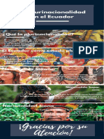 La Plurinacionalidad en El Ecuador: ¡Gracias Por Su Atención!