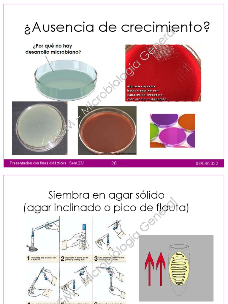Técnicas de Inoculación Microbiológica | PDF | Biología | Microbiología