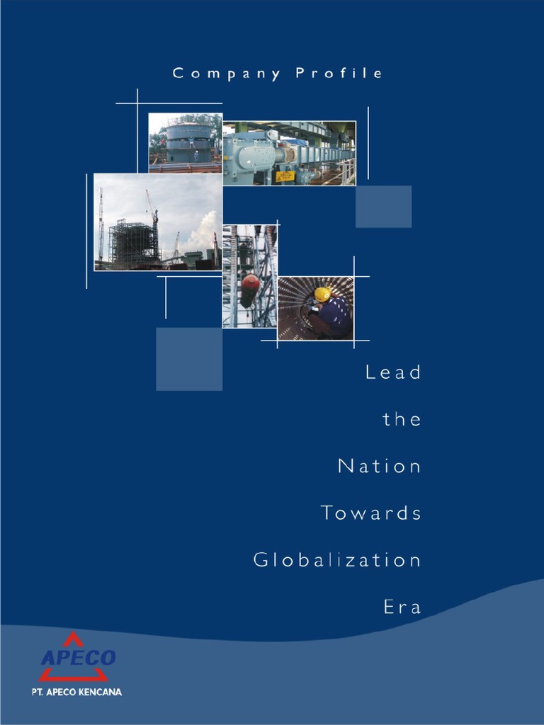 THE COMPANY PROFILE MEANING visual data 5