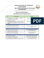 Cronograma de Actividades - PPP - I