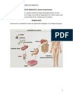 MÓDULO DE TRABAJO #1: Nuestro Cuerpo Humano