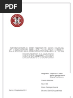 Download Atrofia Por Denervacion by Silvana DeLos Angeles SN64096913 doc pdf