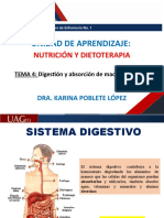 Nutrición y digestión de macromoléculas