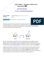 The Chemical Logic Behind... Glycogen Synthesis and Degradation