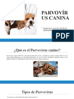 Parvovír Us Canina: Harold David Muñoz Rengifo