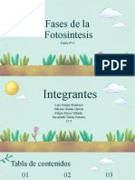 Fases de La Fotosíntesis: Punto #6