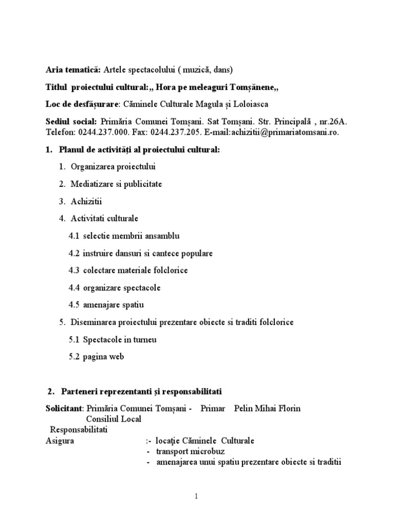 Proiect European | PDF