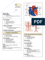 Thoracic Aortography: Projections