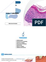 Histología Humana: Piel Y Anexos