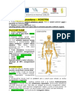 Fyziologie A Anatomie Cloveka - Operna Soustava - Kostra