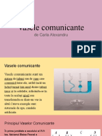 Vasele Comunicante: de Carla Alexandru