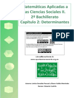 Determinantes matemáticas aplicadas ciencias sociales