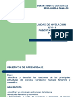 Unidad de Nivelación #0 - 1 Pubertad Y Cambios 7°ayb 2022: Departamento de Ciencias Miss Ángela Canales
