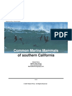 Common Marine Mammals: of Southern California