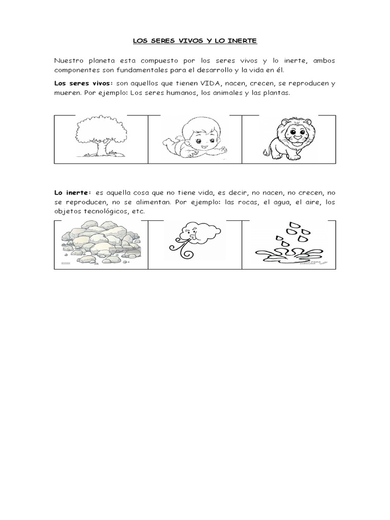 Los Seres Vivos y Lo Inerte | PDF