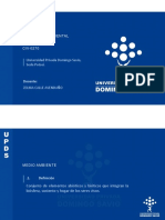 Ingeniería Ambiental CIV-0270: Universidad Privada Domingo Savio, Sede Potosí