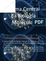 Dogma Central Da Biologia Molecular