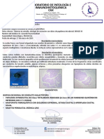 Laboratorio de Patología E Inmunohistoquímica CAX: Descripción Macroscópica