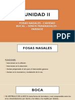 Unidad Ii: Fosas Nasales - Cavidad Bucal - Senos Paranasales - Faringe