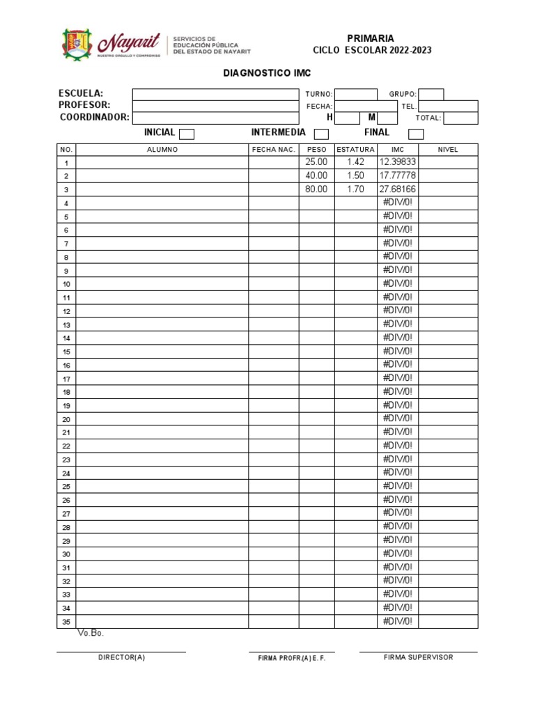 Diagnostico Imc 2022-23 | PDF
