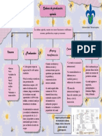 Cadena de Produccion Apicola