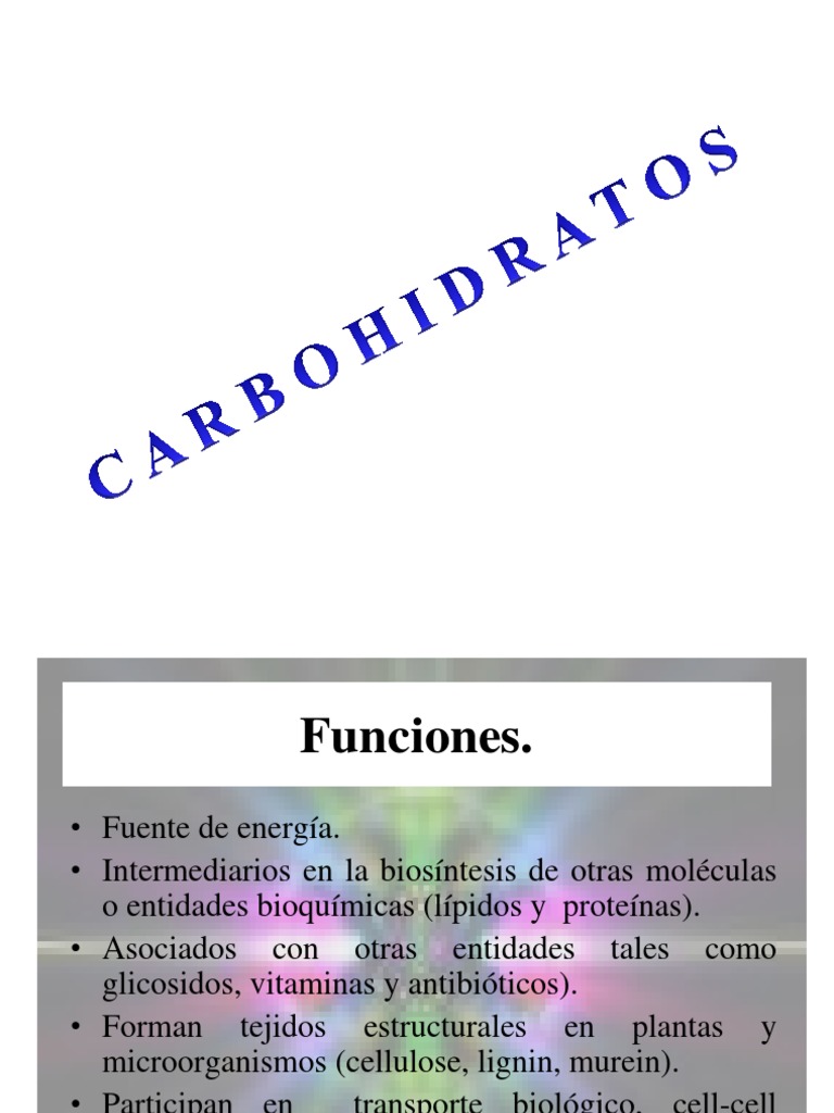 Carbohidratos Estructuras Clasificación Y Funciones Pdf