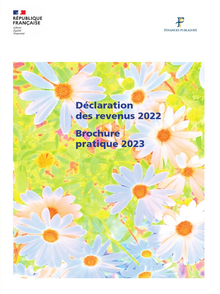 Déclaration des Revenus 2024 : Dates Limites et Modalités, image size:768x1024