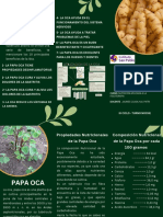 Green Minimalist Function of The Leaf Brochure 