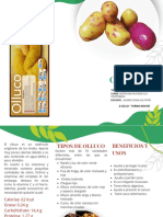 White and Green Modern Healthy Food Trifold Brochure