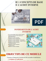 Concepts de Base D'audit Interne