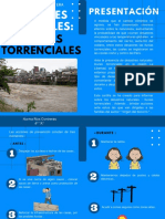 Desastres Naturales:: Lluvias Torrenciales