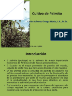 Cultivo de Palmito: Carlos Alberto Ortega Ojeda, I.A., M.SC