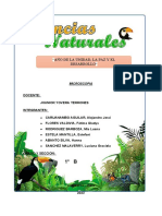 Año de La Unidad, La Paz Y El Desarrollo: Docente: Jhunior Yovera Terrones Integrantes