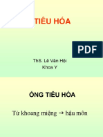 Tieu Hoa