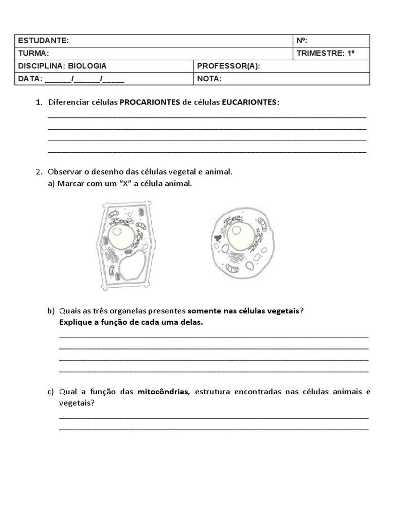 Exercícios sobre Células Procariontes e Eucariontes | PDF | Bem-estar
