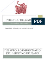 Anatomia y Fisiologia Del Intestino Delgado