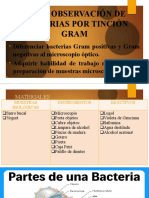 Tema:Observación de Bacterias Por Tinción Gram