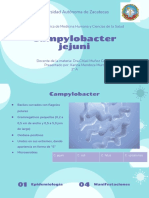 Campylobacter Jejuni