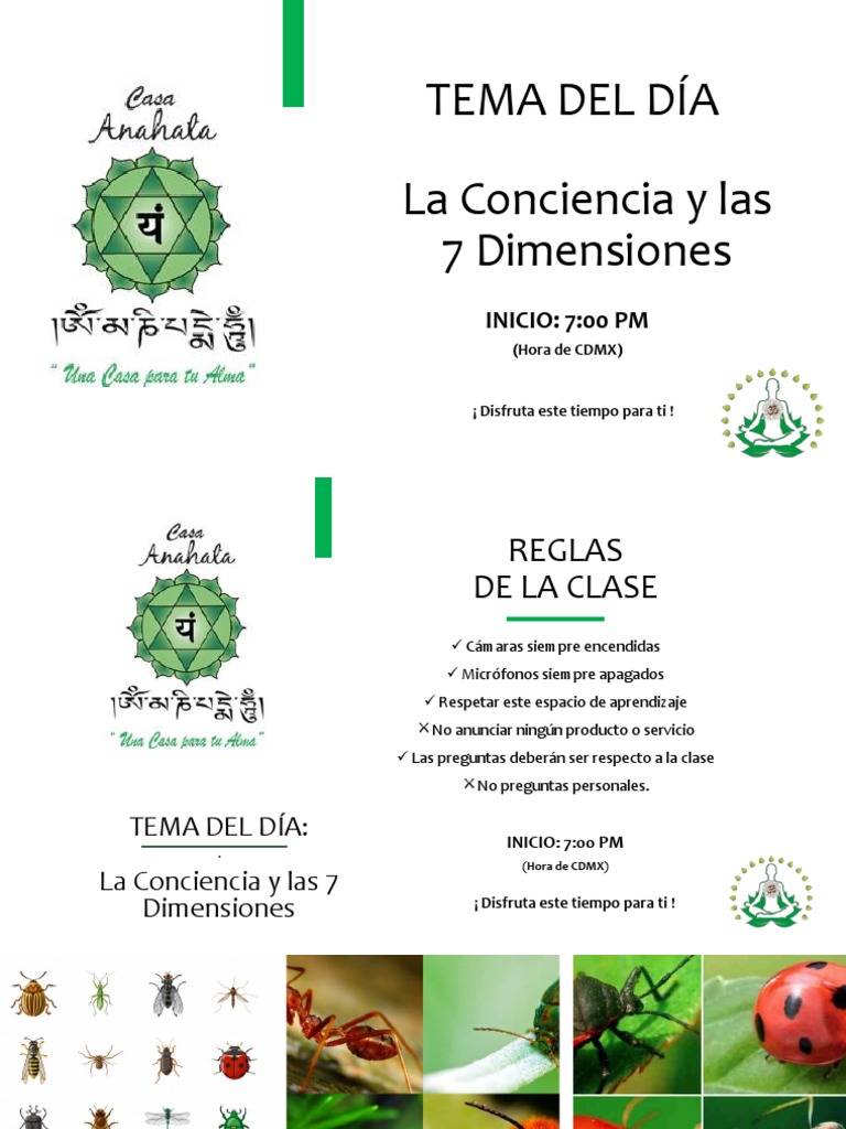 La Conciencia y Las 7 Dimensiones | PDF | Dormir