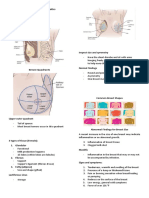 Breast and Lymphatics - REVIEWER