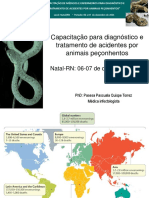 Pasesa - USP - Manejo Clinico de Acidentes Por Serpentes - Dez.2021