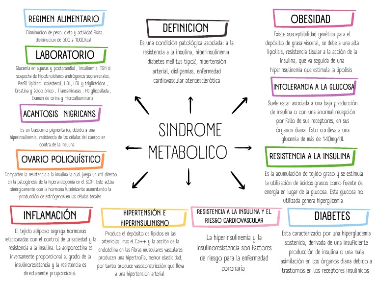 Fisiopatología del Síndrome Metabólico | PDF | Resistencia a la ...