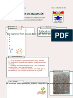 Rosado Blanco Líneas Azúcar Laboratorio de Química Reporte