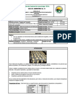 Elaboración Panderitos de Fécula CAFE