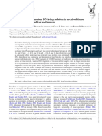 Amarilla Stevens Et Al - 2022 - Temporal Rate of Postmortem DNA Degradation in Archived Tissue