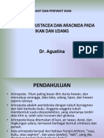 Penyakit Crustacea Dan Aracnida Pada Ikan Dan Udang: Dr. Agustina