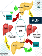 Como o pâncreas regula a glicose no sangue