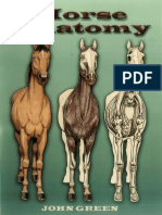 Horse Anatomy (VetBooks - Ir)