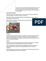 Defectos abdominales en recién nacidos: gastrosquisis vs onfalocele